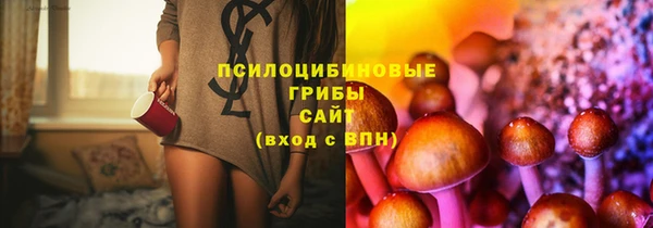 стаф Горняк