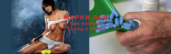 стаф Горняк