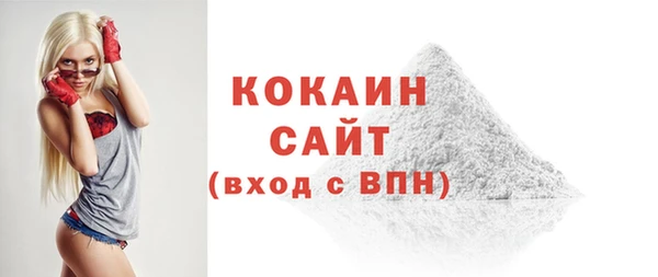 стаф Горняк