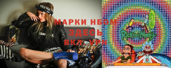 стаф Горняк