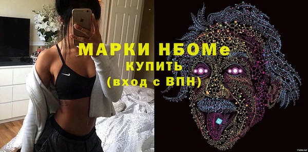 стаф Горняк