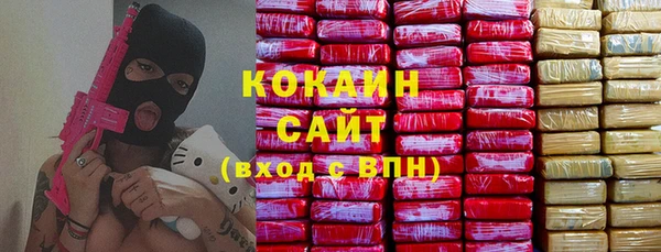 стаф Горняк