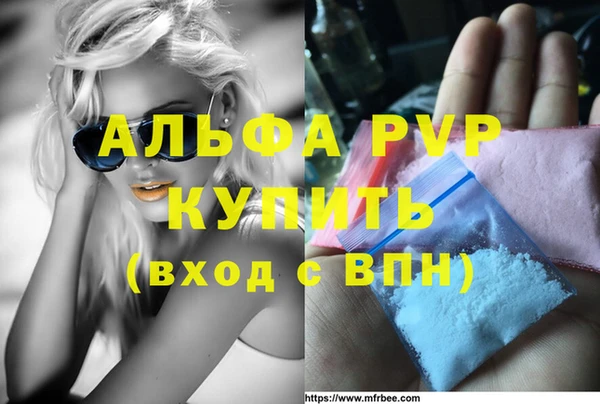 стаф Горняк